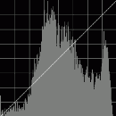 graphbw.gif